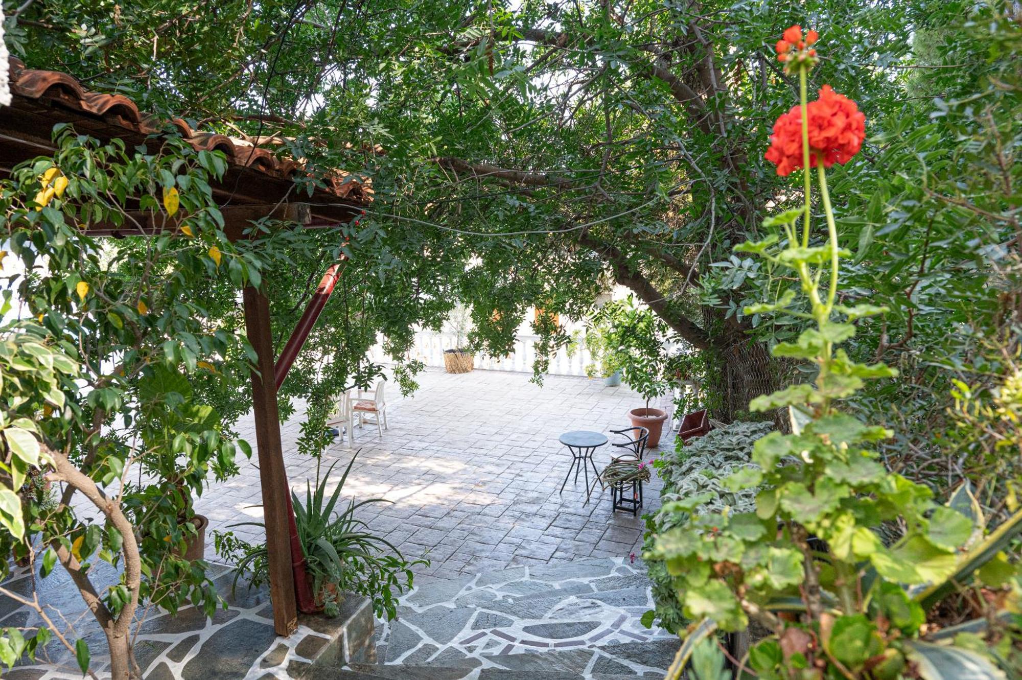 Lions 2 Studios & Apartments, Poros Island. Poros Town Eksteriør billede